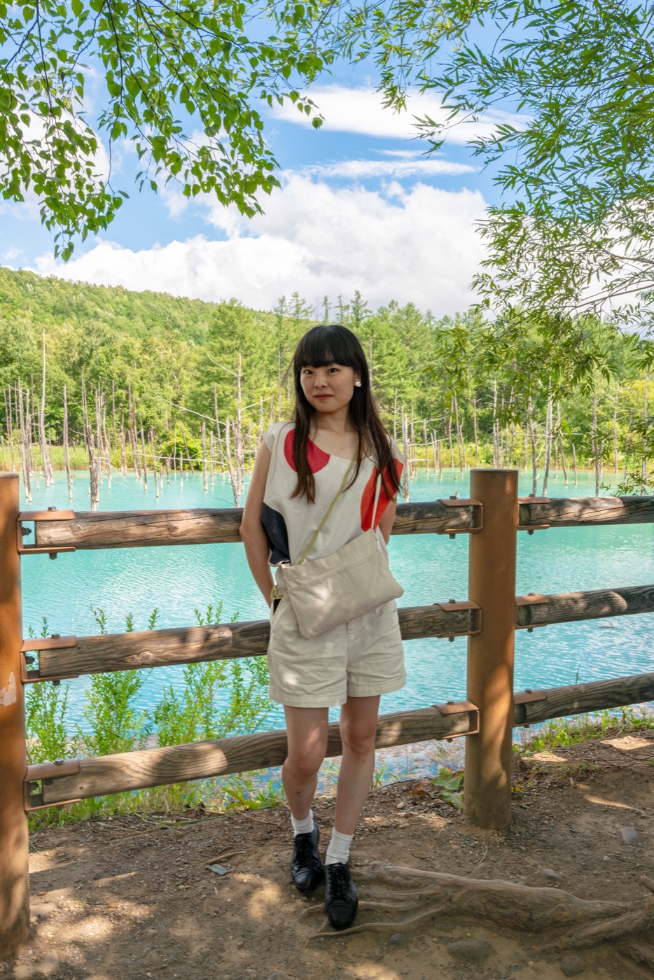 biei hokkaidos scenic canvas photo 12