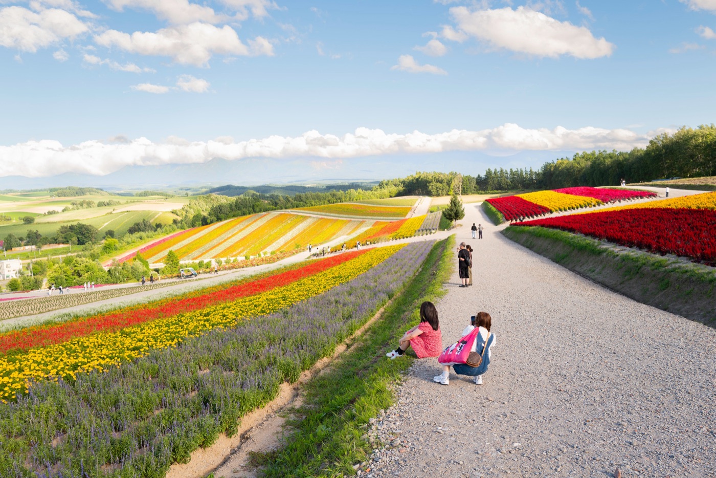 biei hokkaidos scenic canvas photo 20