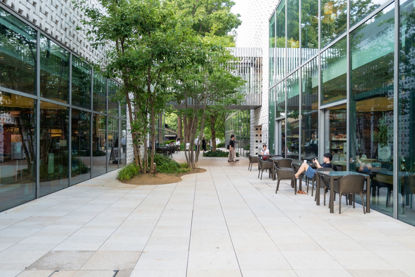 daikanyama t site a literary and architectural marvel photo 5