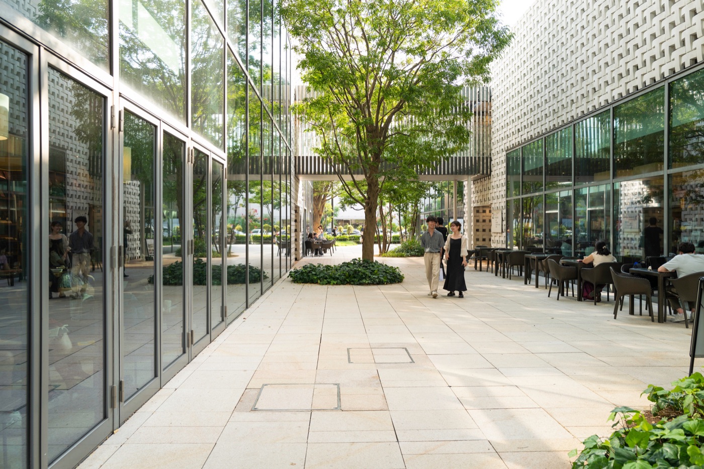 daikanyama t site a literary and architectural marvel photo 8