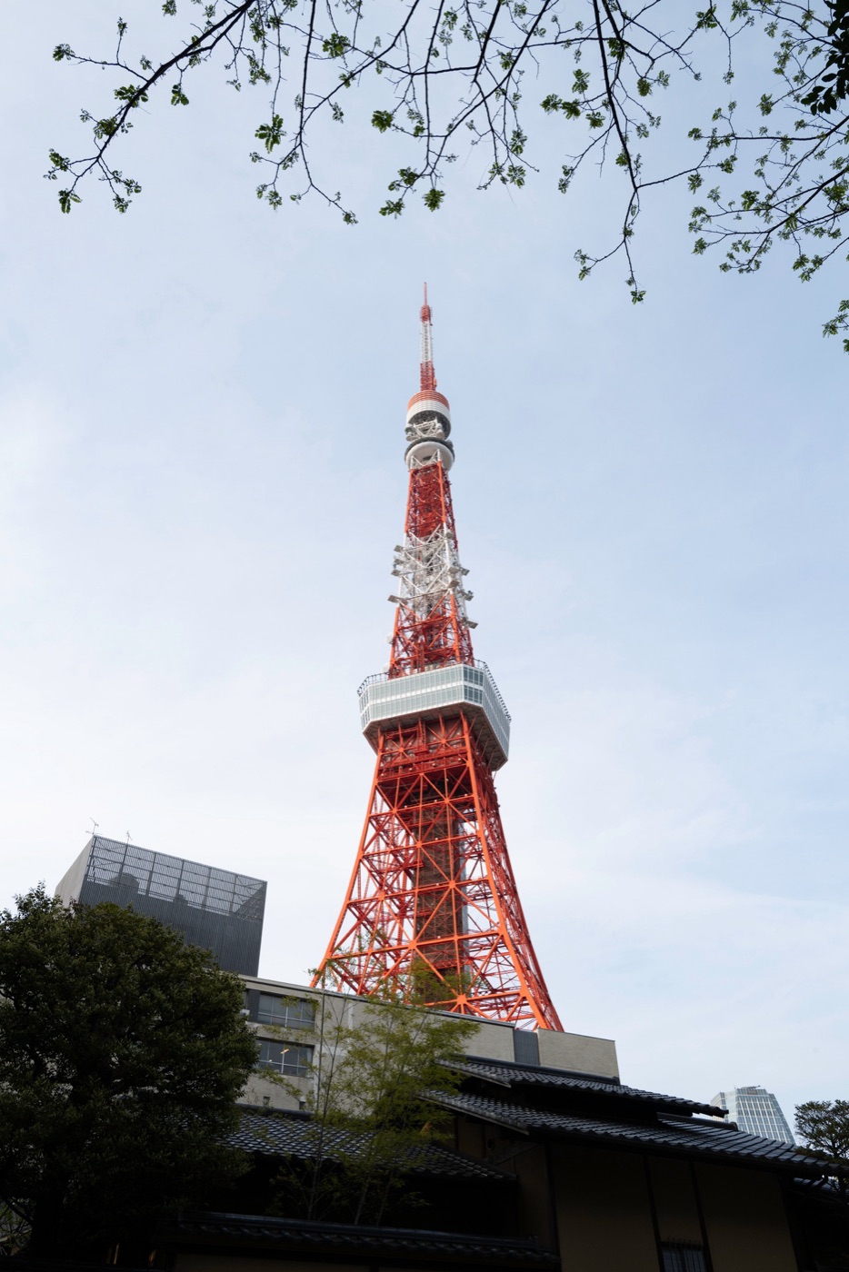 dentsu tower shiodomes architectural icon photo 17