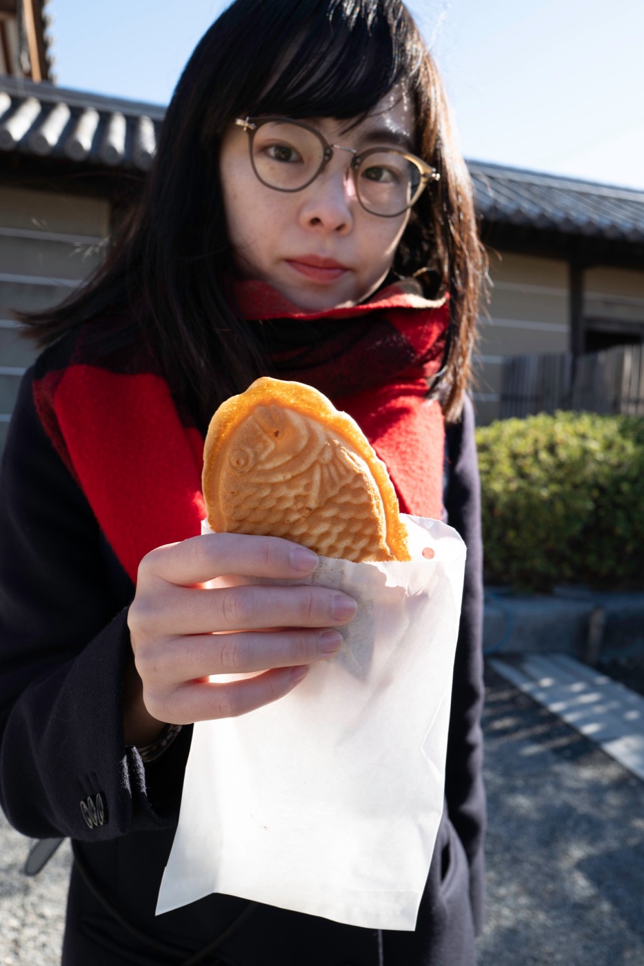 dorayaki vs tayaki photo 11