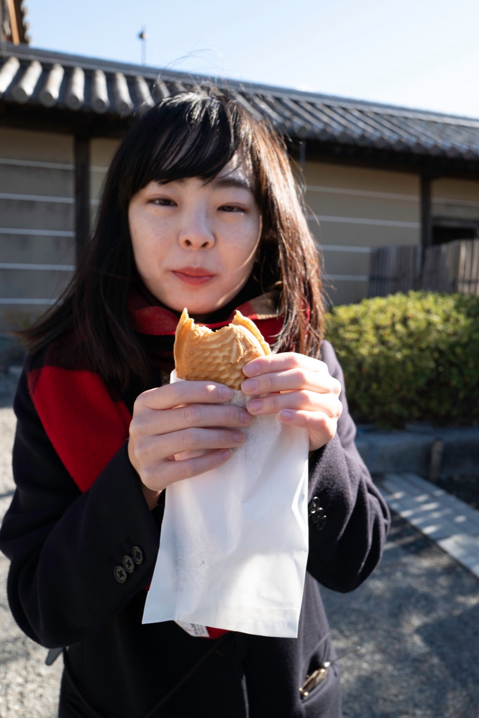 dorayaki vs tayaki photo 14