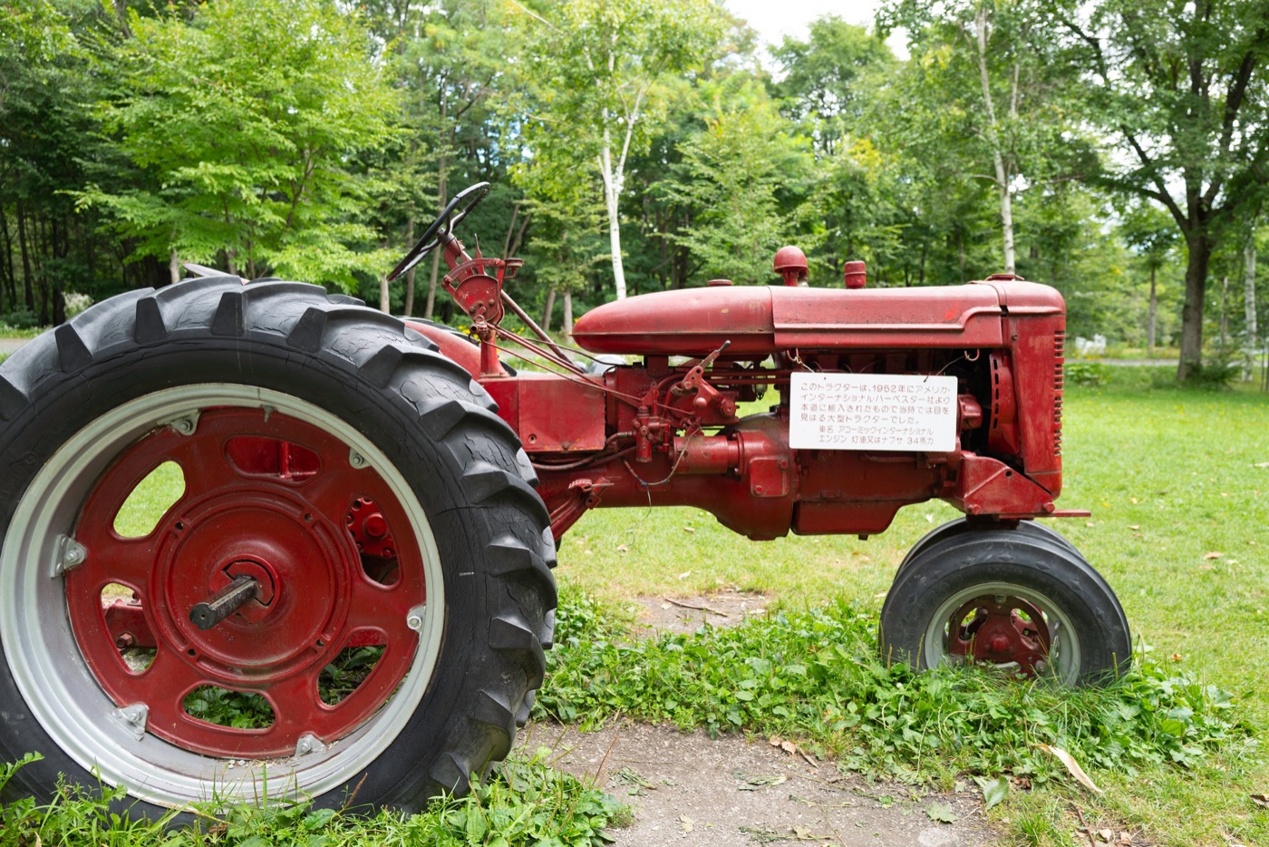furano lavender fields and farm life in hokkaido photo 11