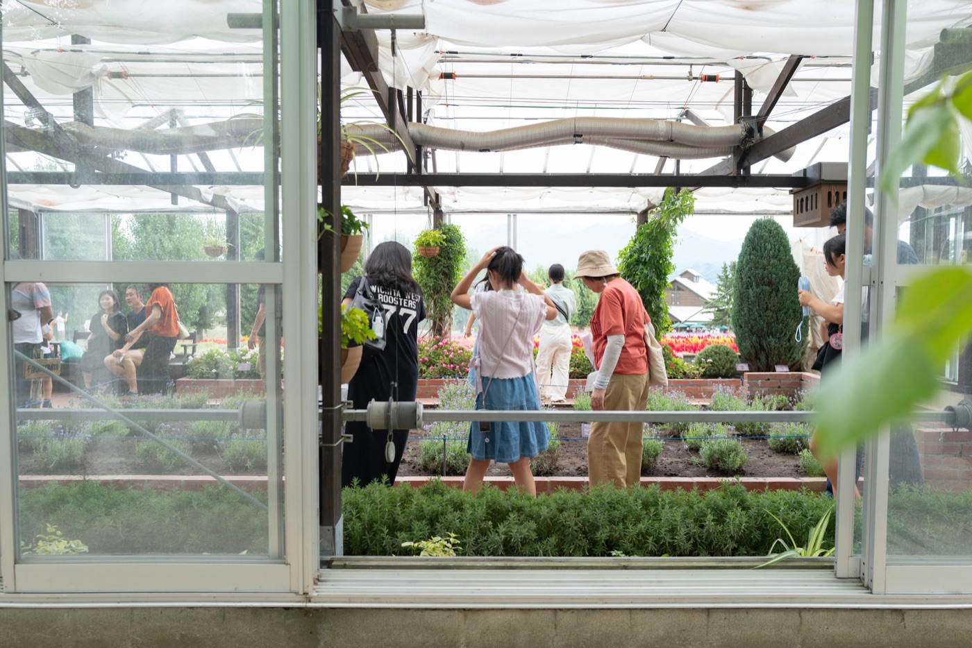 furano lavender fields and farm life in hokkaido photo 14