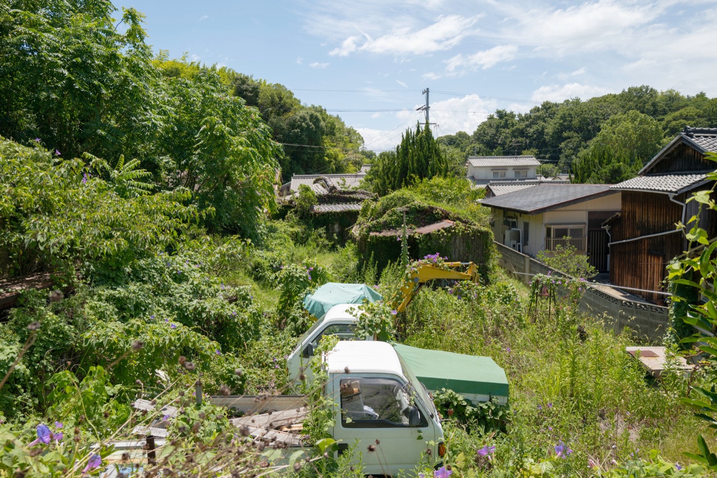 inujima island art history and nature photo 7