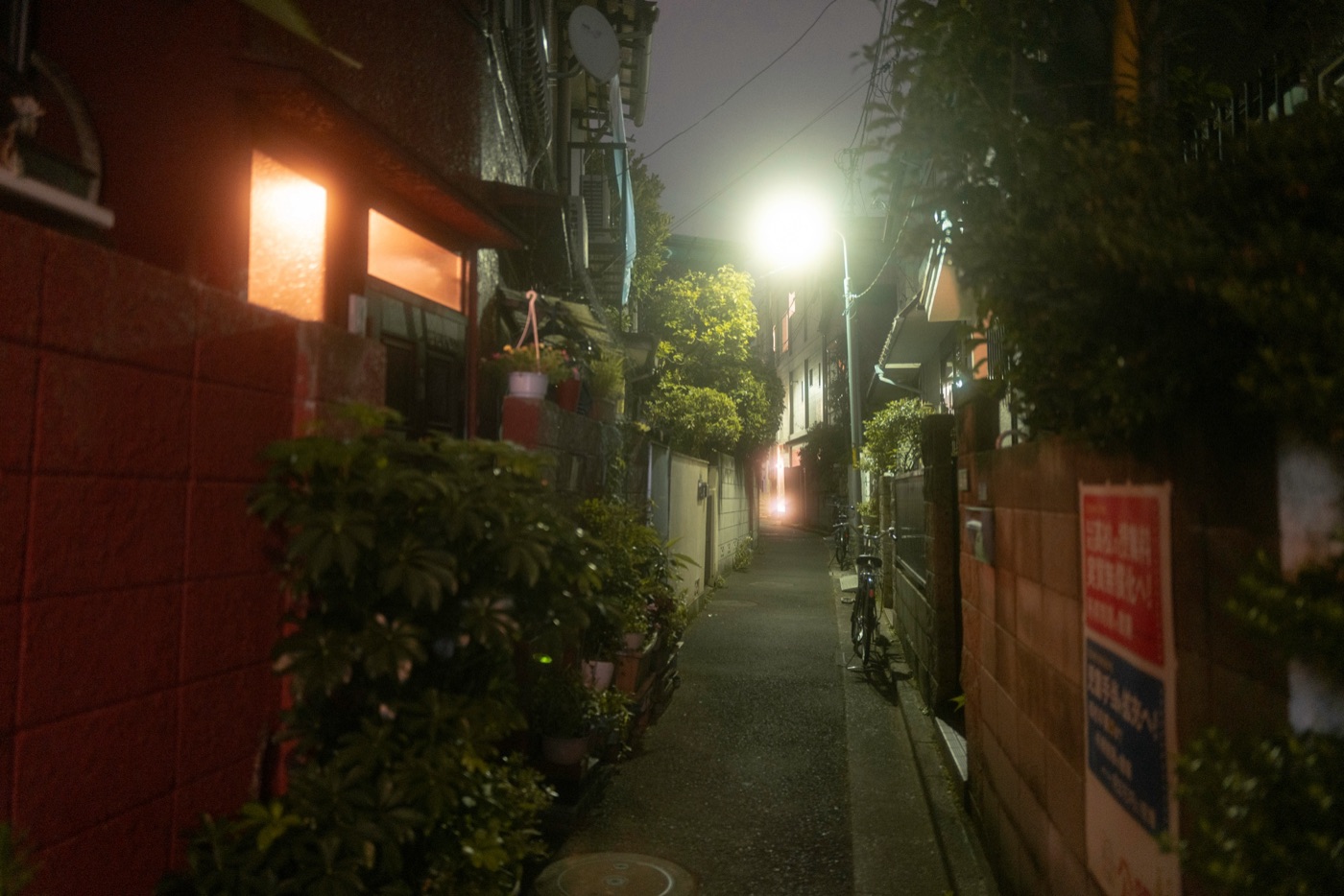 Jujo: Tokyo's Authentic Neighborhood Gem