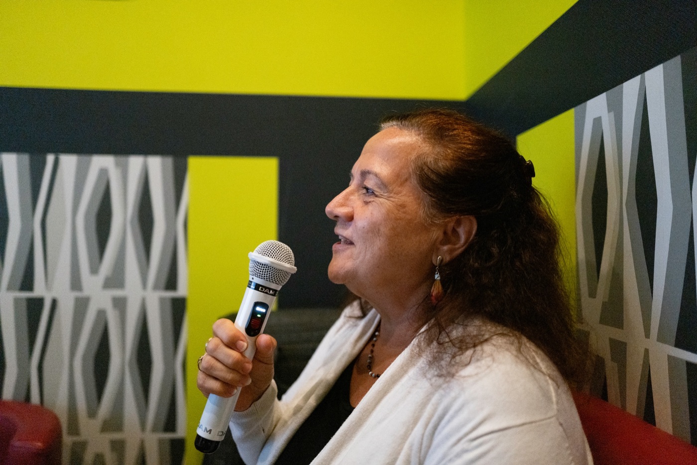karaoke culture in japan photo 7