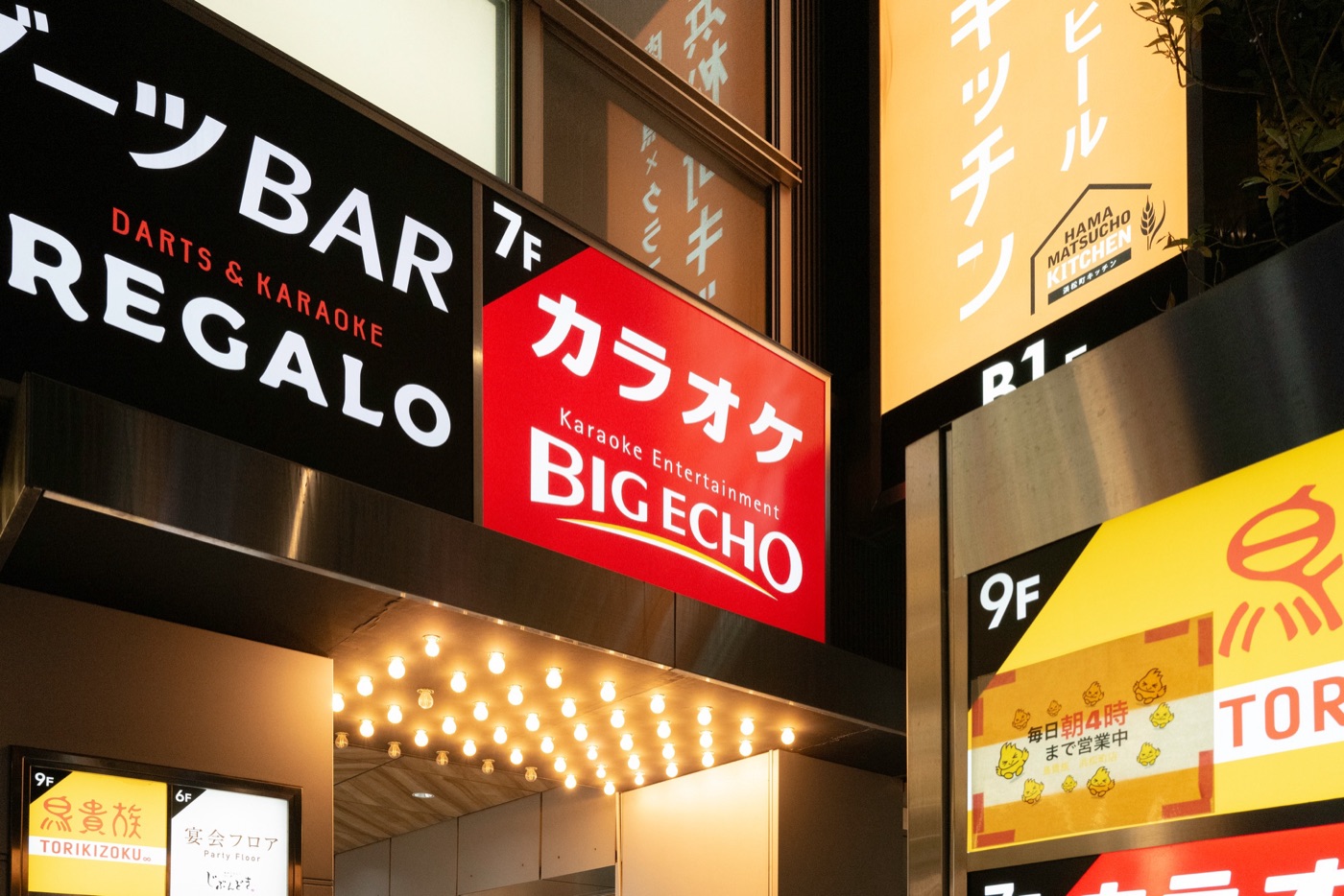 karaoke culture in japan photo 14