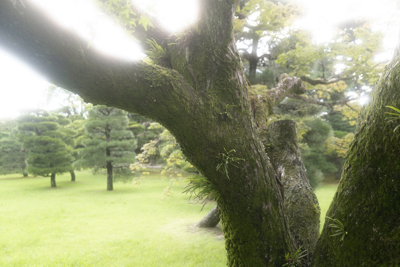 katsura imperial villa a timeless architectural marvel photo 10