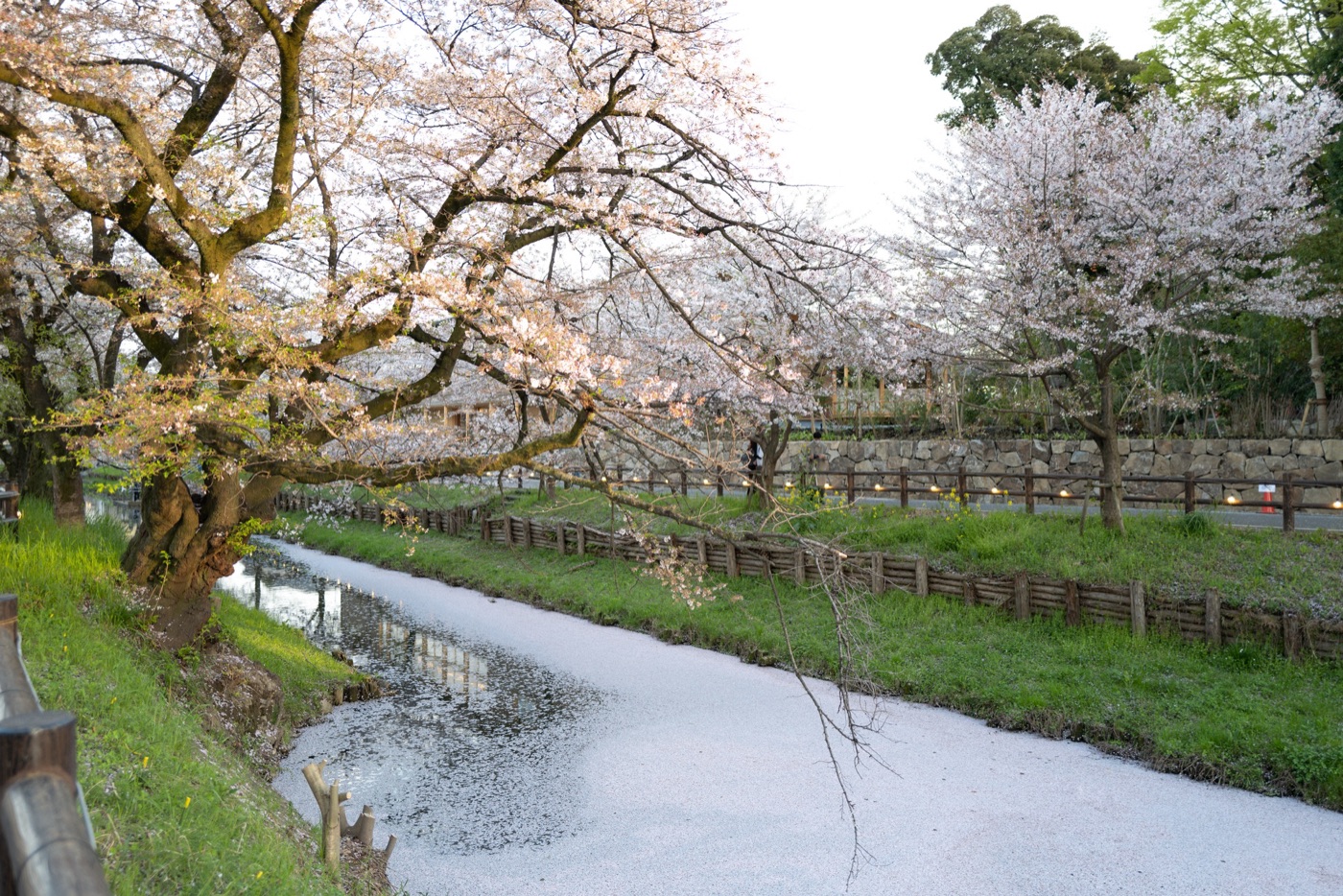 kawagoe saitamas historic edo town photo 14