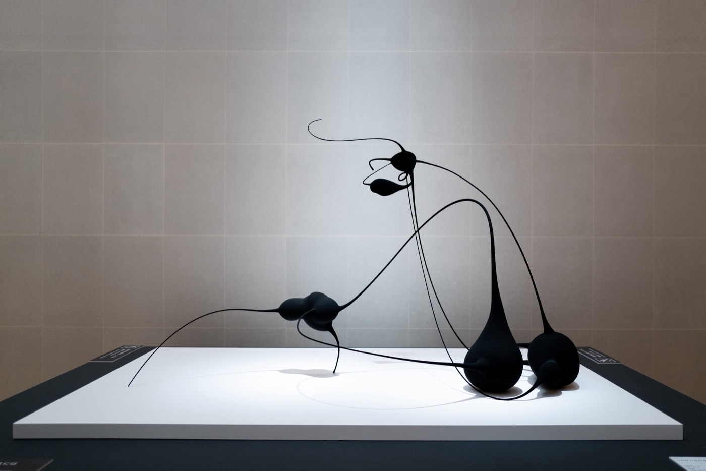 kengo kumas latest exhibition in venice a blend of sound and architecture photo 14