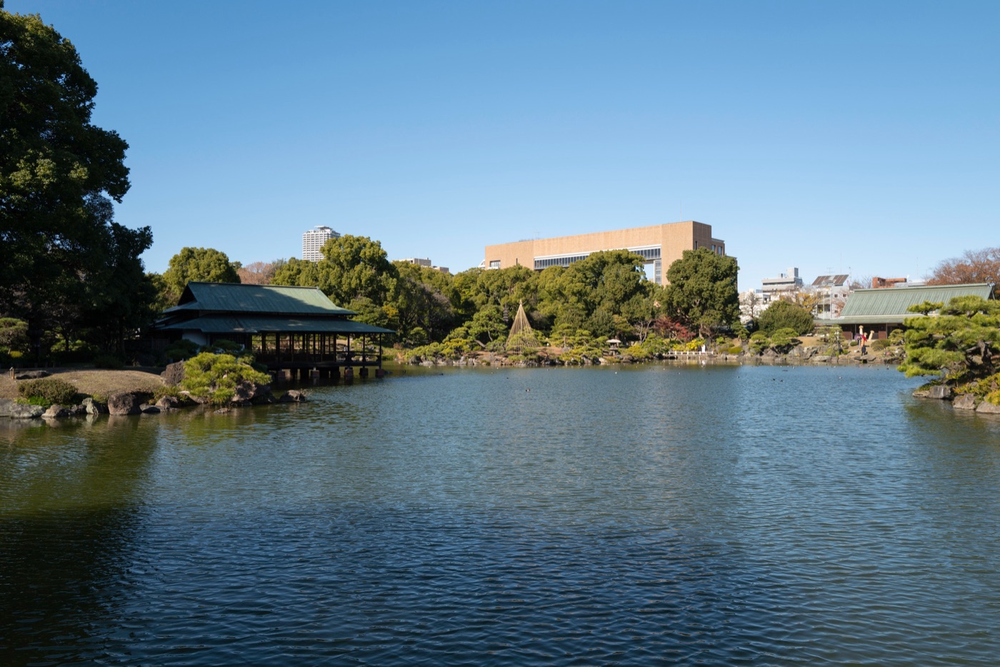 kiyosumi gardens tokyos scenic retreat photo 3