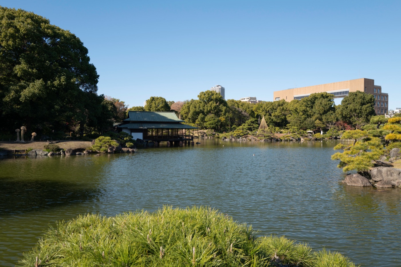 kiyosumi gardens tokyos scenic retreat photo 4