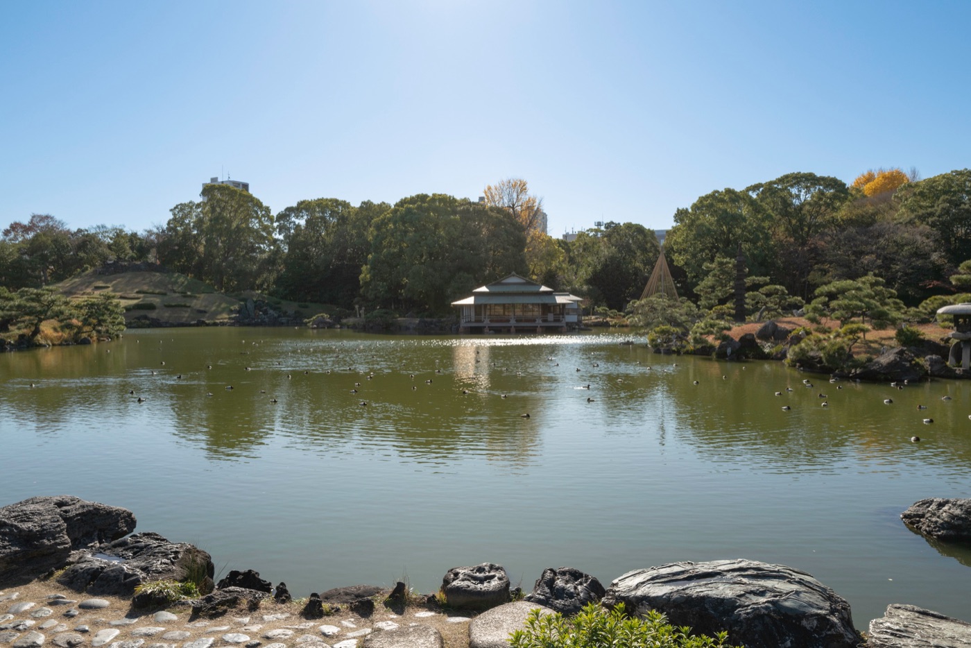 kiyosumi gardens tokyos scenic retreat photo 9