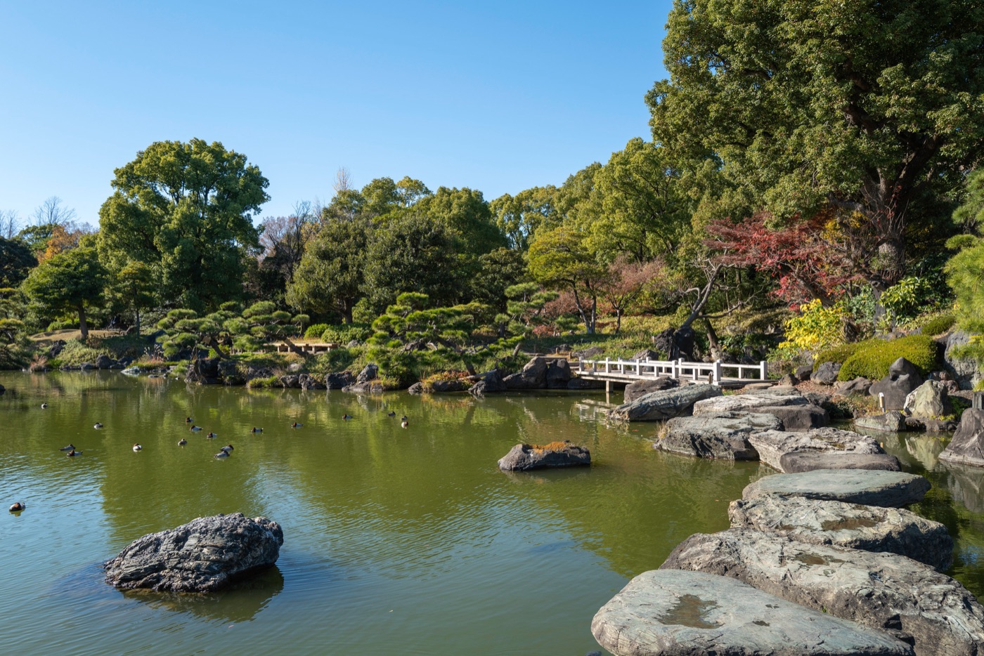 kiyosumi gardens tokyos scenic retreat photo 10