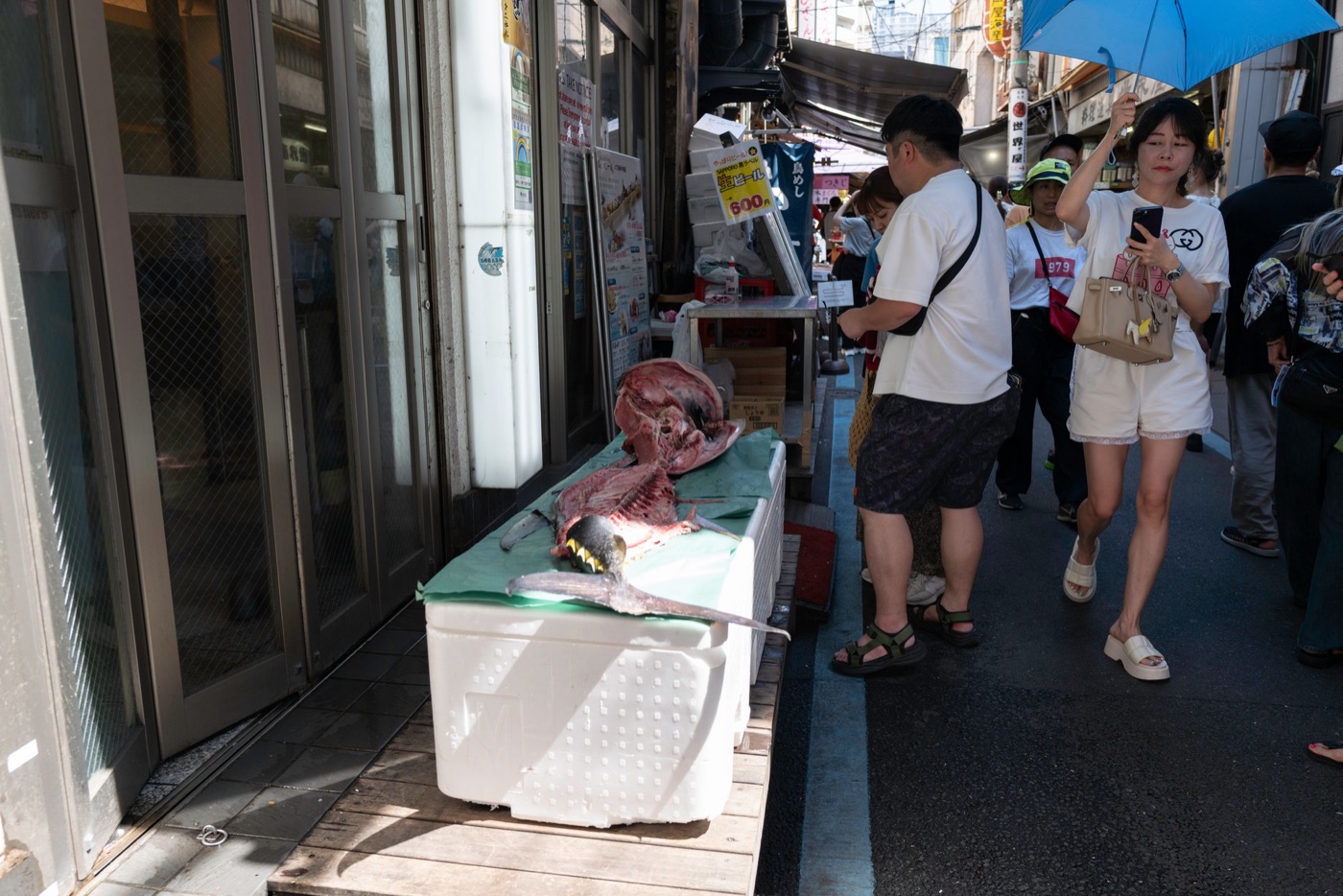 miura peninsula beaches seafood and scenic adventures photo 1