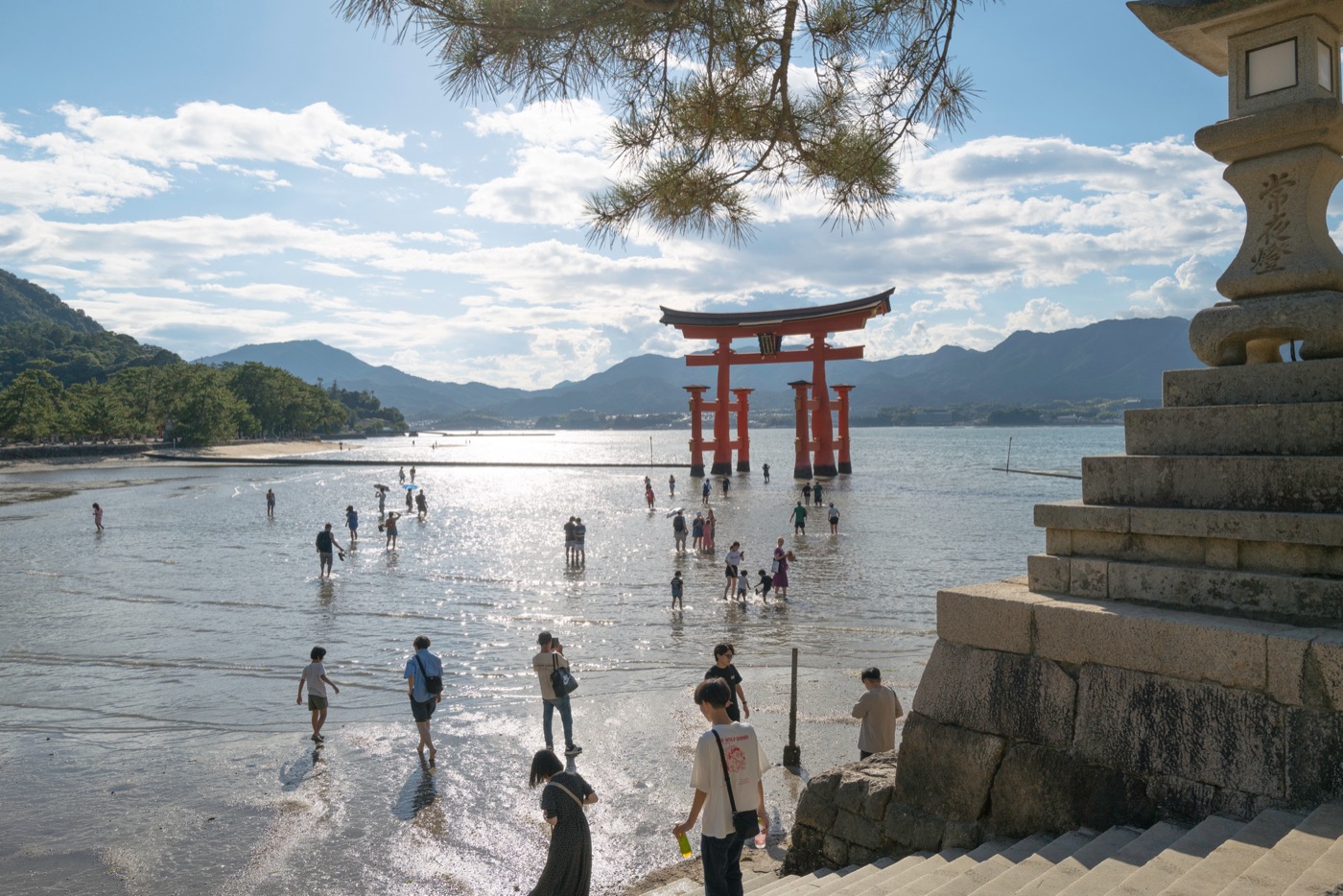 miyajima island the floating torii of hiroshima photo 14
