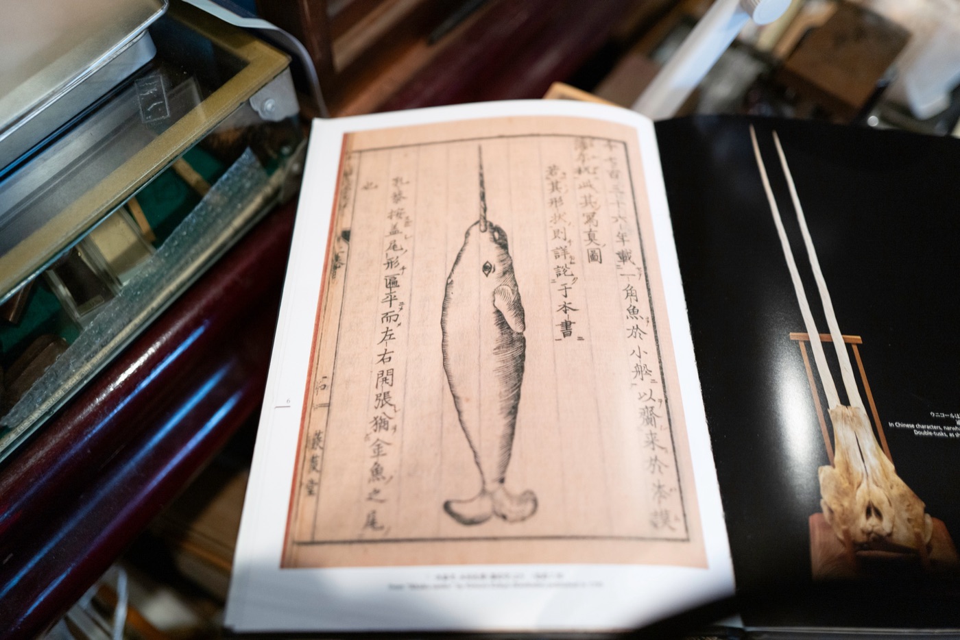 netsuke japans miniature sculptures photo 6
