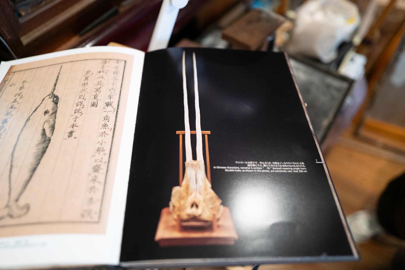 netsuke japans miniature sculptures photo 7
