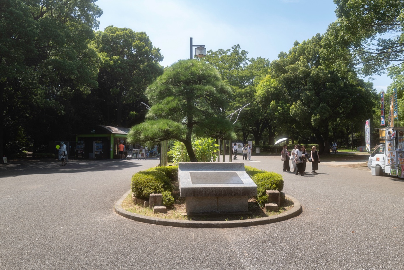 sakura japans blossoms of renewal photo 2