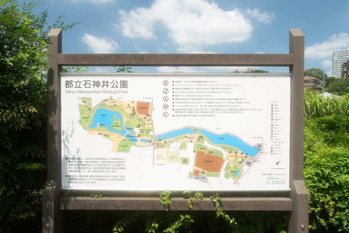 shakujii park nerimas scenic retreat photo 2