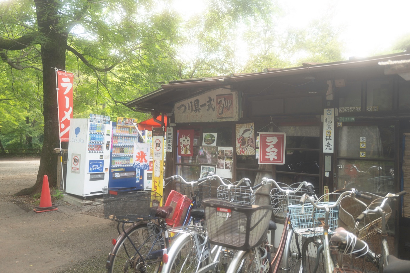 shakujii park nerimas scenic retreat photo 6