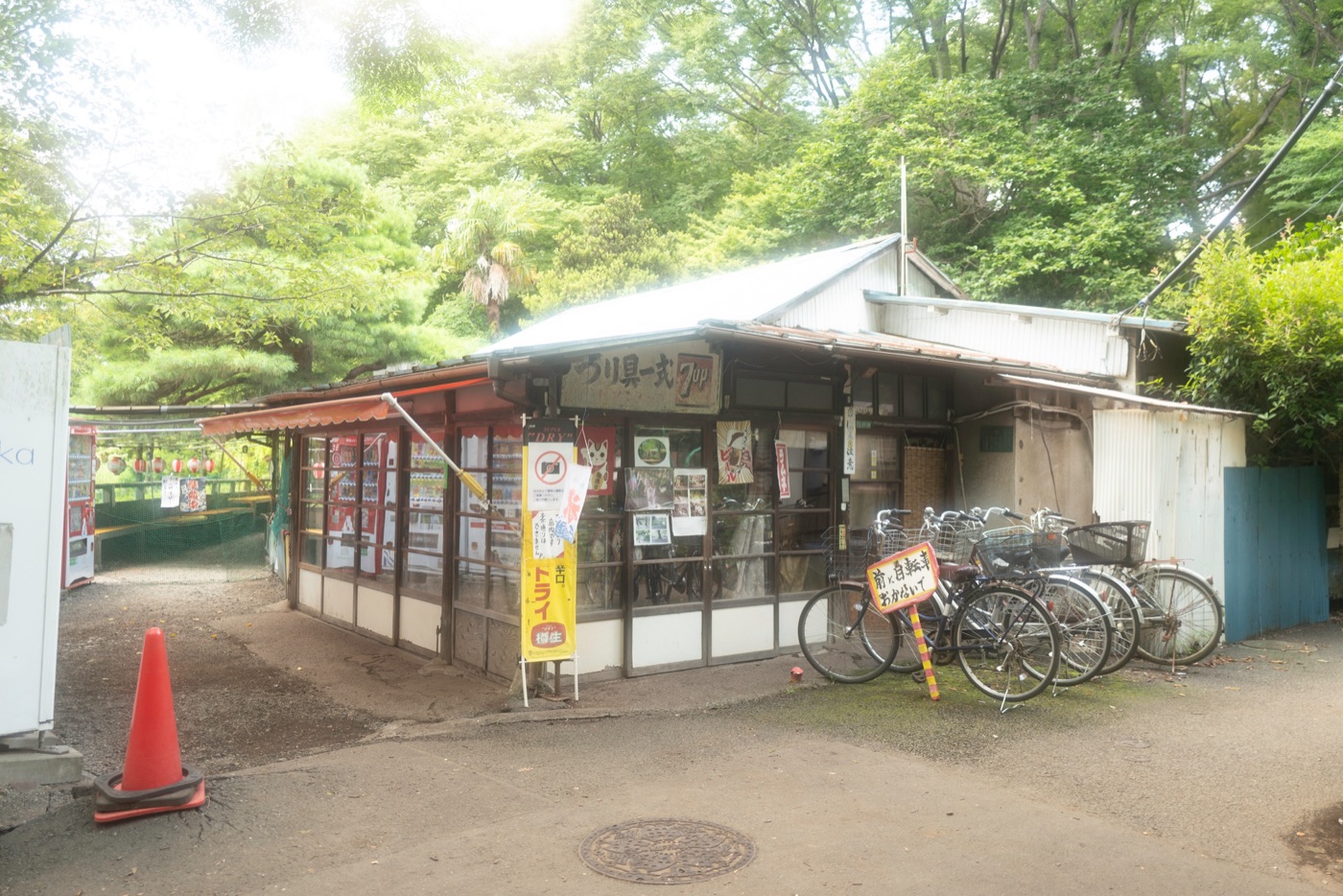 shakujii park nerimas scenic retreat photo 7
