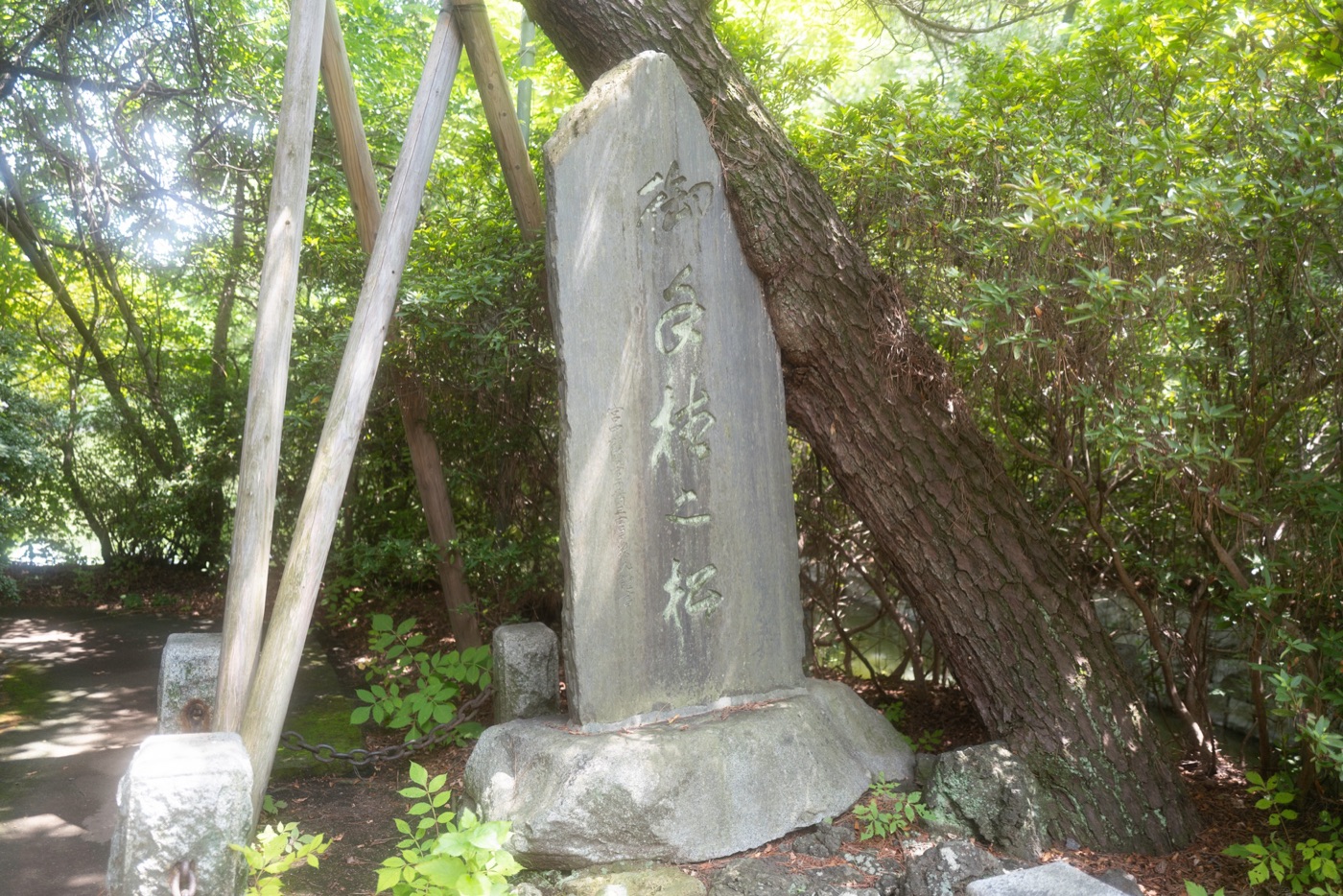 shakujii park nerimas scenic retreat photo 10