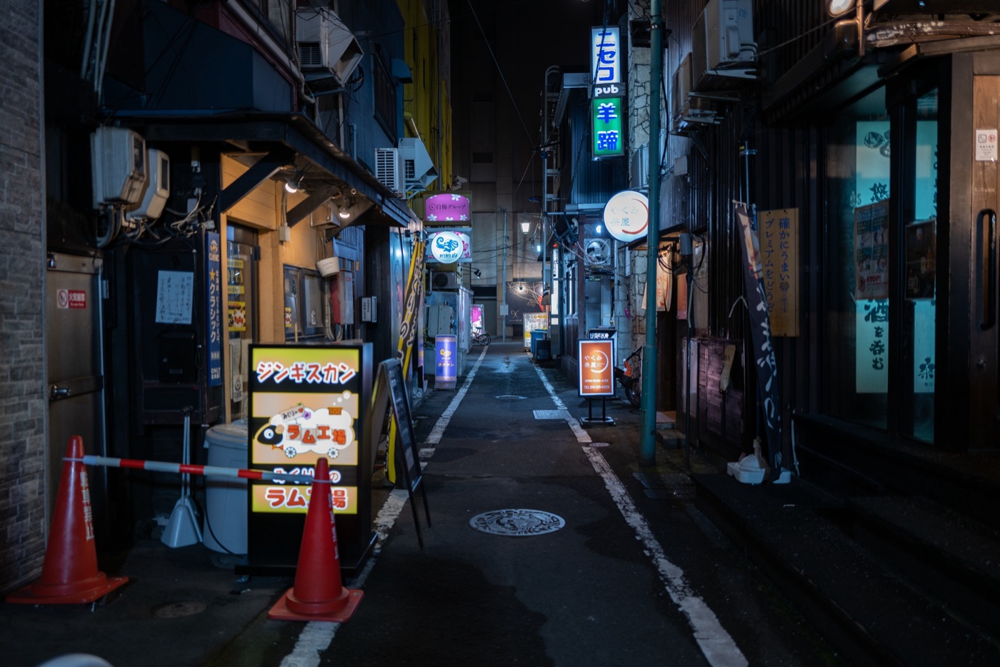 susukino sapporos entertainment district photo 11