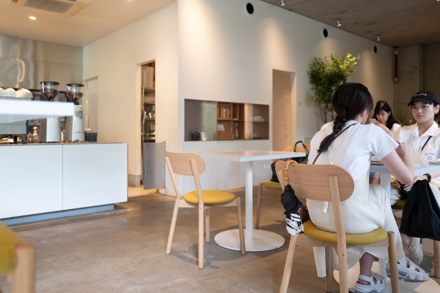 tokyos coffee escapade swiss travelers guide to blue bottle cafes photo 12