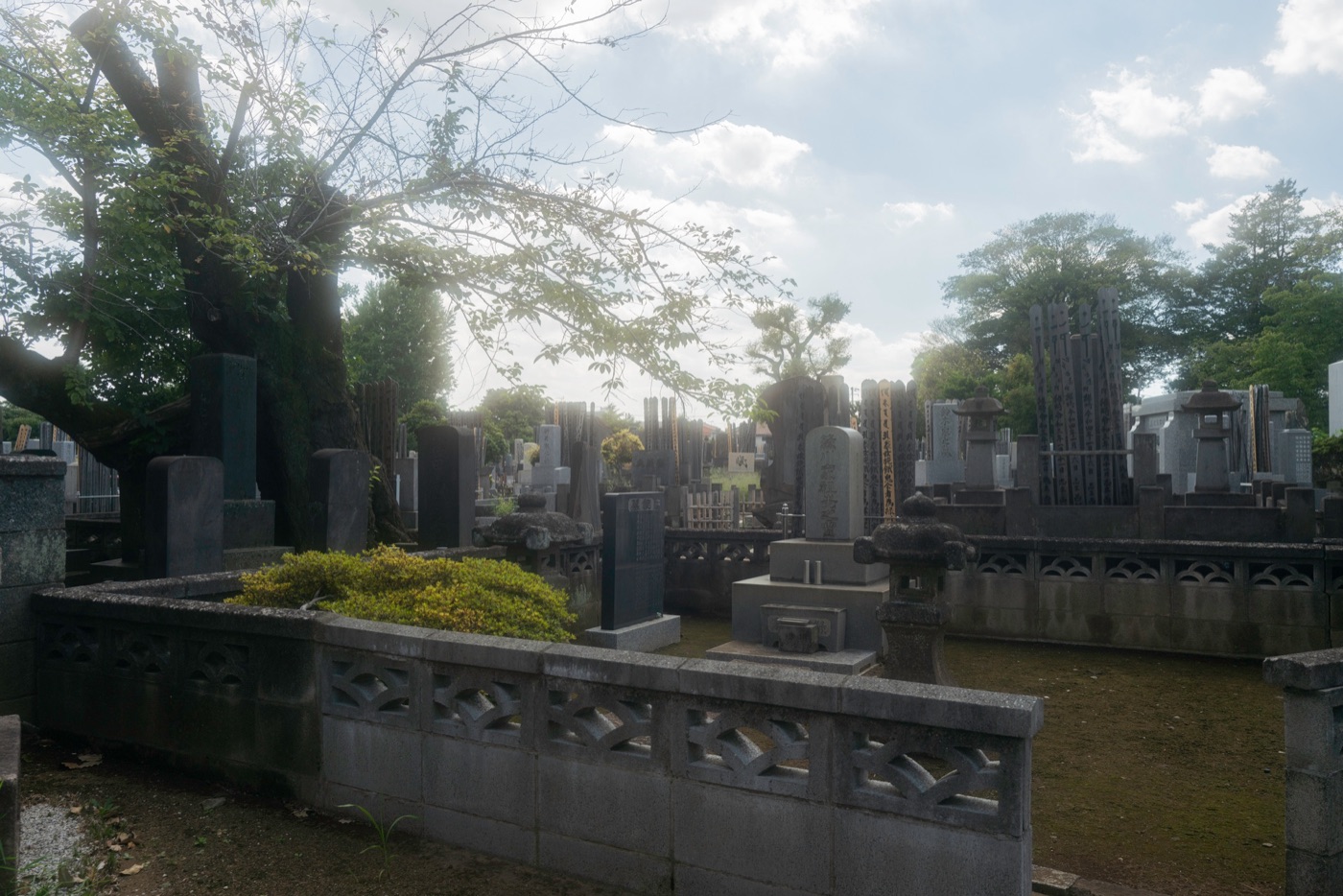 yanaka cemetery a historic haven in tokyo photo 1