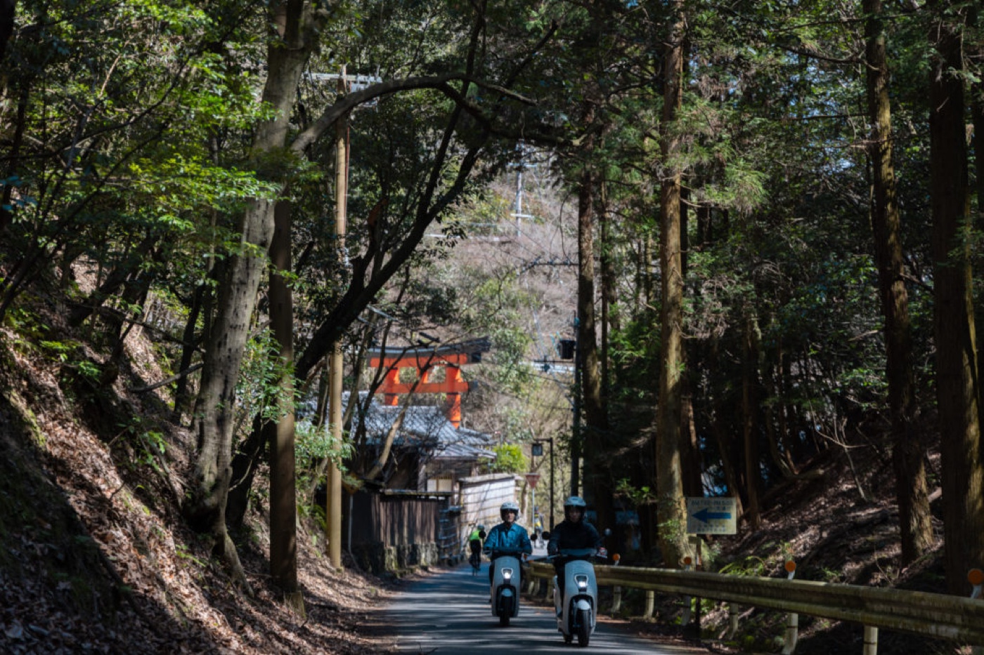 Scenic motorcycle route in Japan