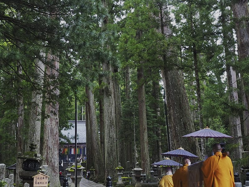 Mount Koya