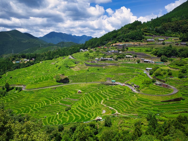 Maruyama Senmaida Rice Terraces