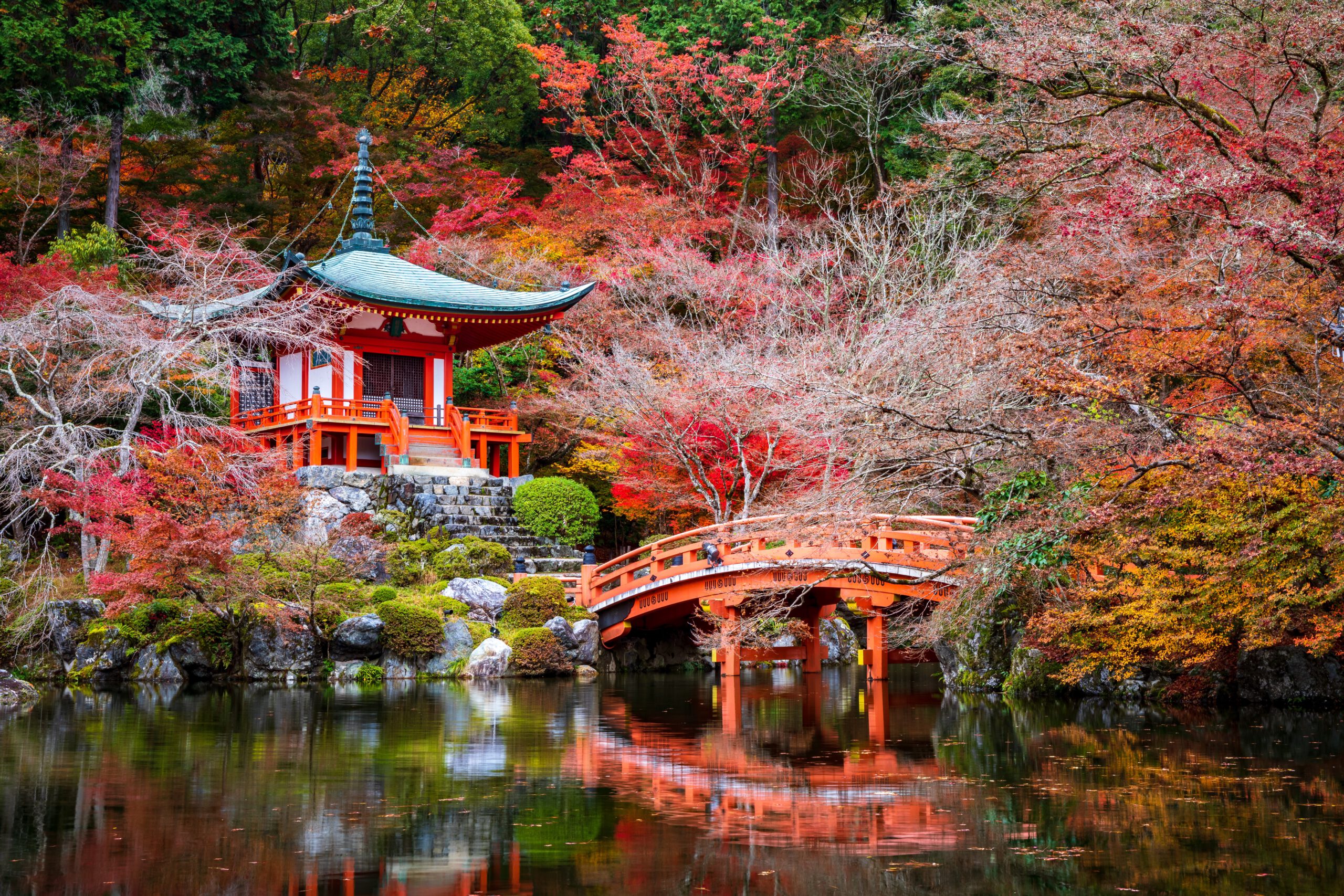Discovering the Hidden Gems of Kyoto: A Guide to Off-the-Beaten-Path Adventures