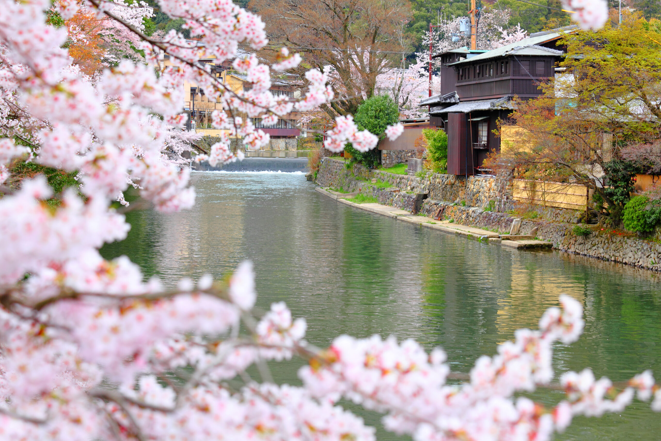 Kyoto