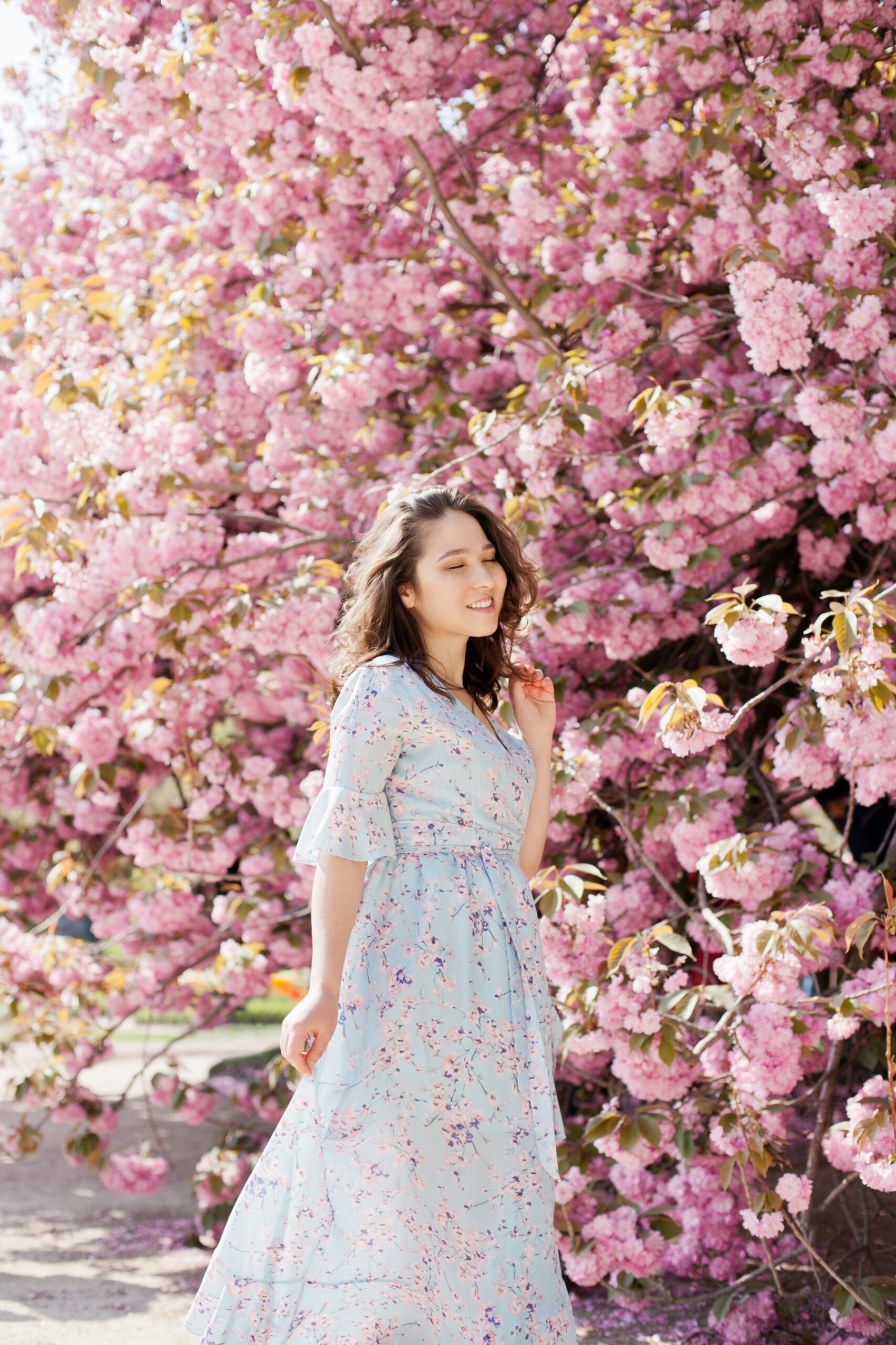 Woman enjoying cherry blossoms in Japan, perfect for spring tours. Pink sakura blooms in background.