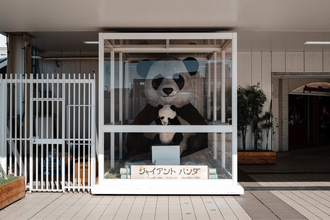 Ueno Zoo: A Wildlife Haven in Tokyo