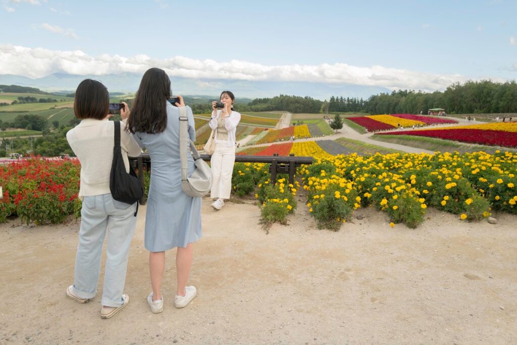 Tourists capture vibrant flower fields in Japan, offering scenic views perfect for a memorable tour experience.