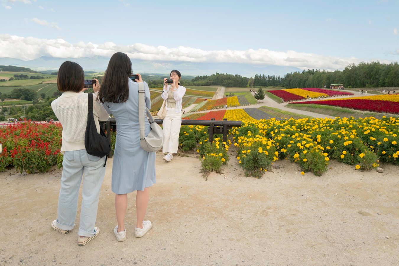 Tourists capture vibrant flower fields in Japan, offering scenic views perfect for a memorable tour experience.