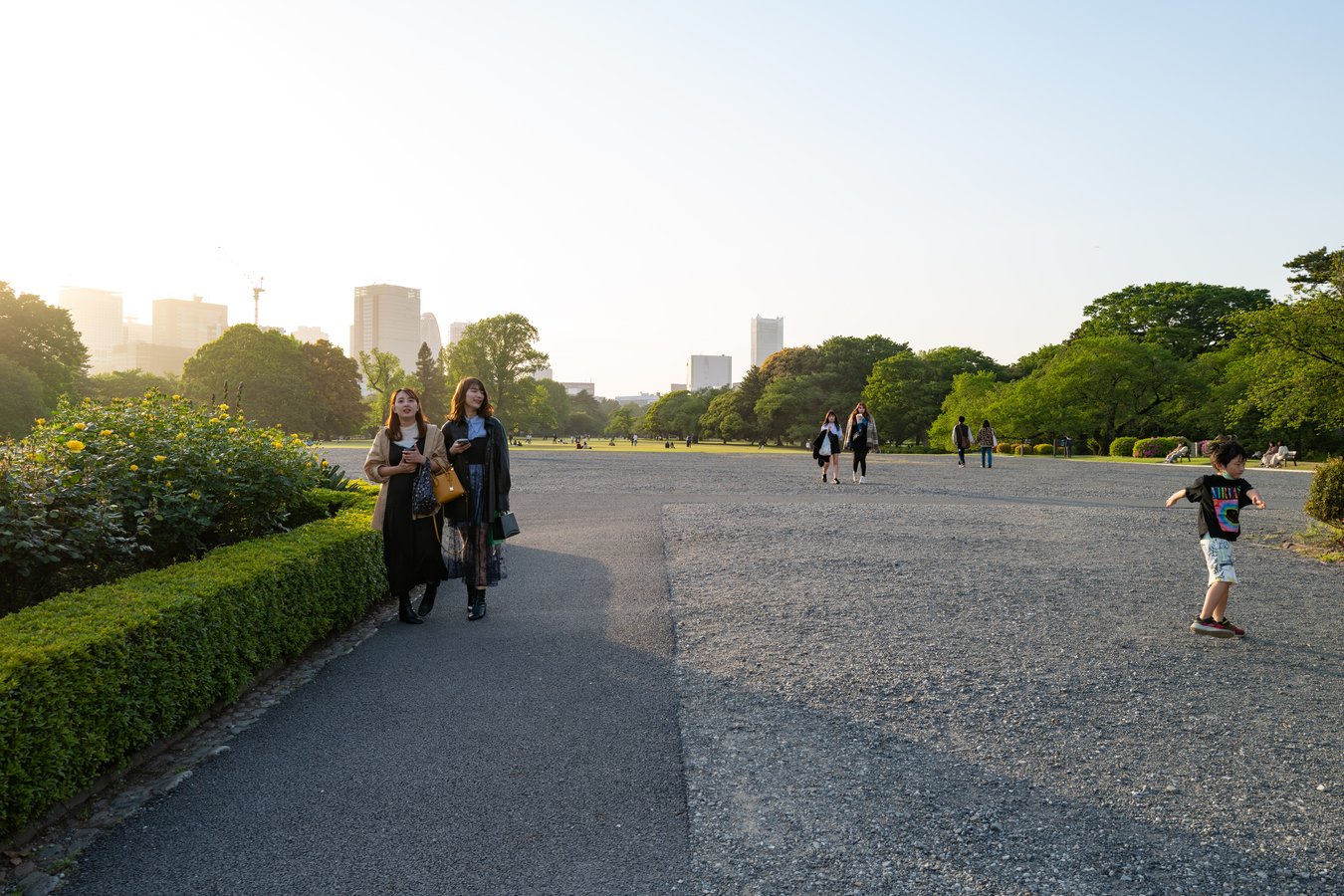 Shinjuku Gyoen: A Historic Garden in Tokyo