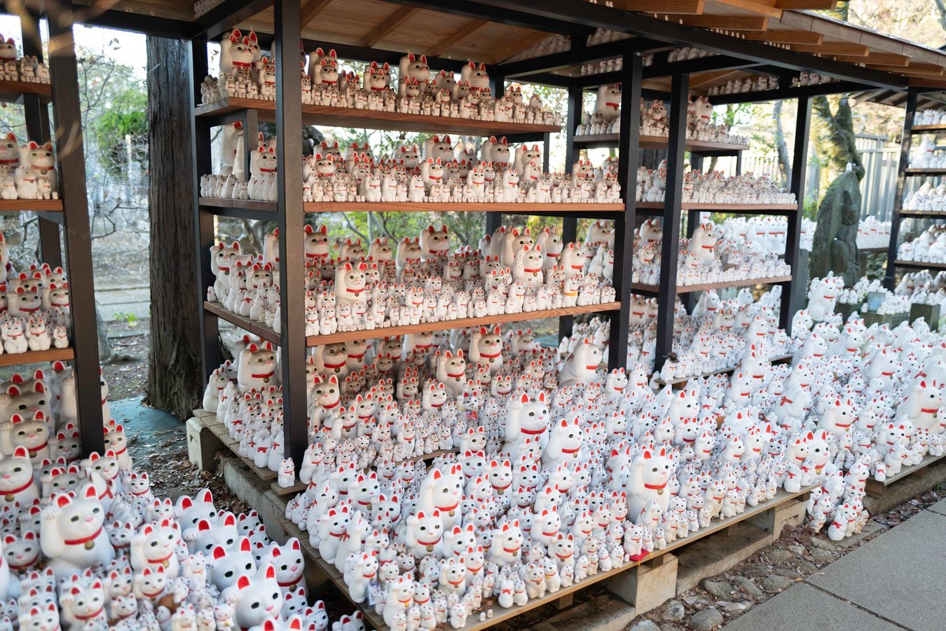 Hundreds of Maneki-neko figurines at Gotokuji Temple in Japan, a popular tour destination for good luck seekers.